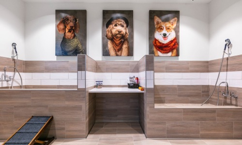 Pet Amenities Cover Image